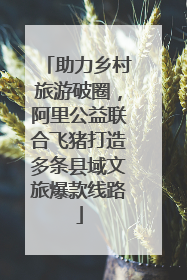 助力乡村旅游破圈，阿里公益联合飞猪打造多条县域文旅爆款线路